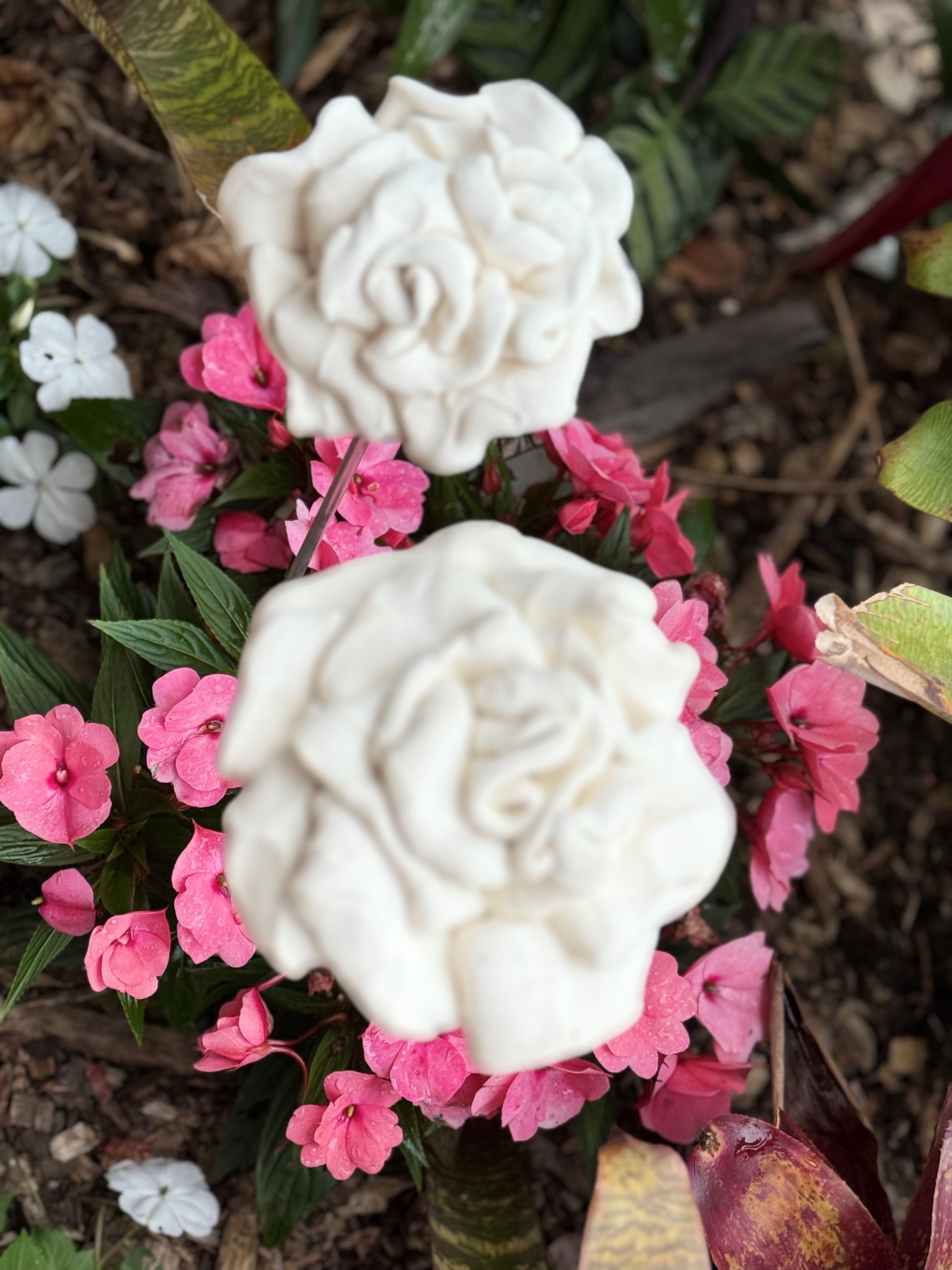 images/RS WHITE ROSES.jpg